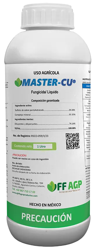 Botella-MASTER-CU_2024