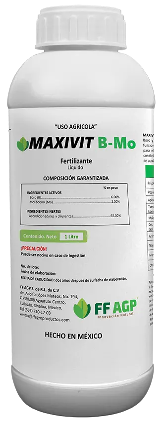 Botella-MAXIVIT-B-Mo_2024